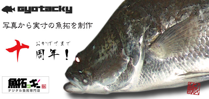 魚拓ッキーTOP画像 アカメ 魚拓  